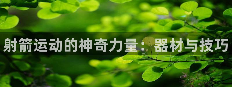 熊猫体育官网下载招商电话号码是多少：射箭运动的神奇力量：器材