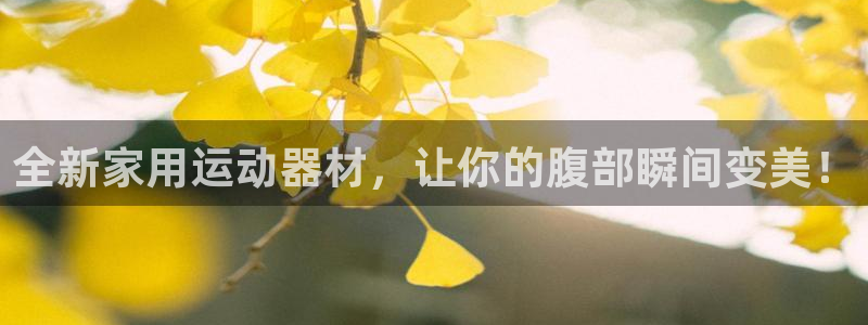 熊猫体育官网下载招商电话：全新家用运动器材，让你的腹部瞬间变